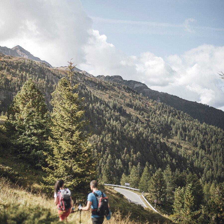 Wanderweg oberhalb der Passstraße, Blick auf das Antholzertal | © Kottersteger Manuel - TV Antholzertal