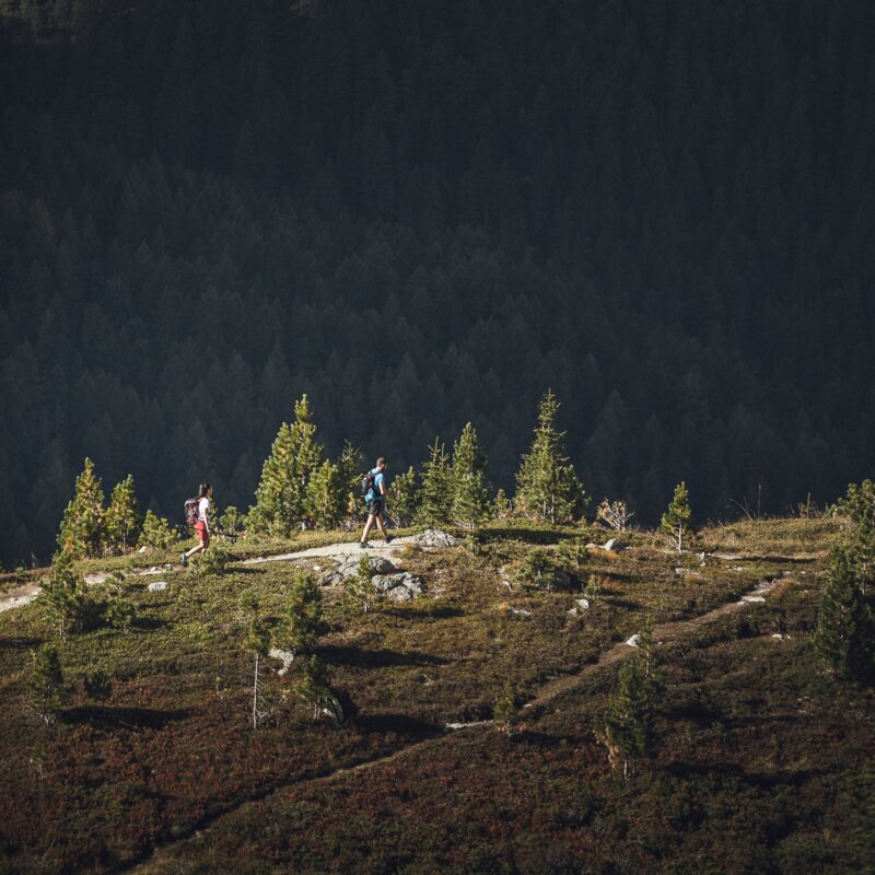 Hike at the Staller Saddle | © Kottersteger Manuel - TV Antholzertal