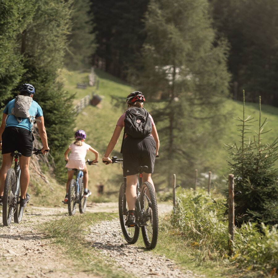 Mountainbike, Arrivo alla malga, Malga Hochraut | © Konistudios