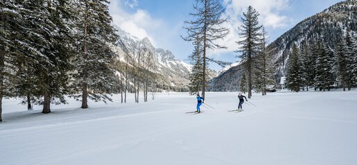 Pista di sci di fondo della valle | © Wisthaler Harald