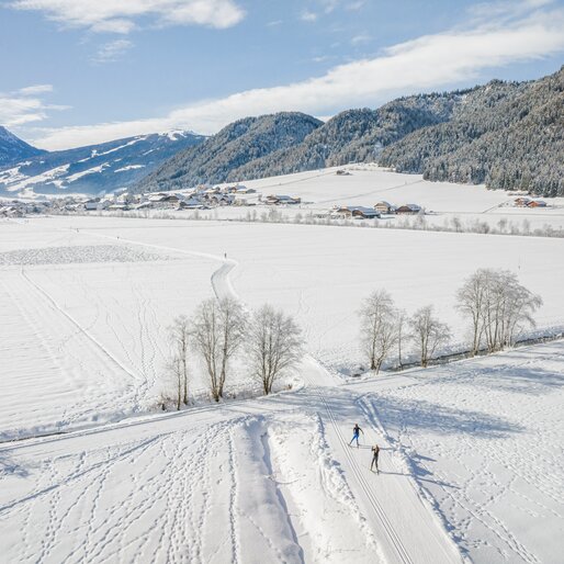 Pista di sci di fondo della valle | © Wisthaler Harald