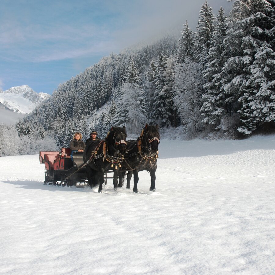 Gita in slitta trainata da cavalli, paesaggio invernale | © Leitgeb Karl Heinz