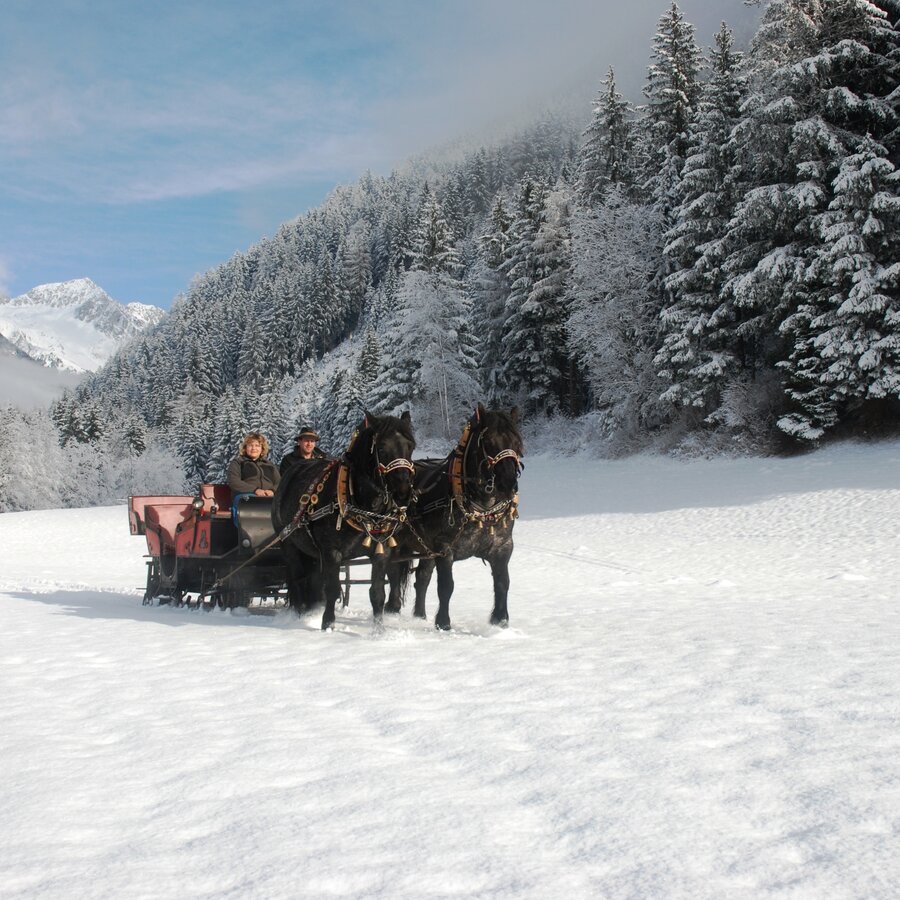 Pferdeschlittenfahrt, Winterlandschaft | © Leitgeb Karl Heinz