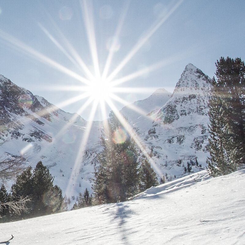 Skitouren in Winterlandschaft | © Wisthaler Harald