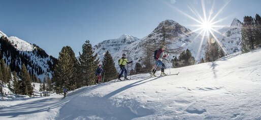 Ski touring in winter landscape | © Wisthaler Harald