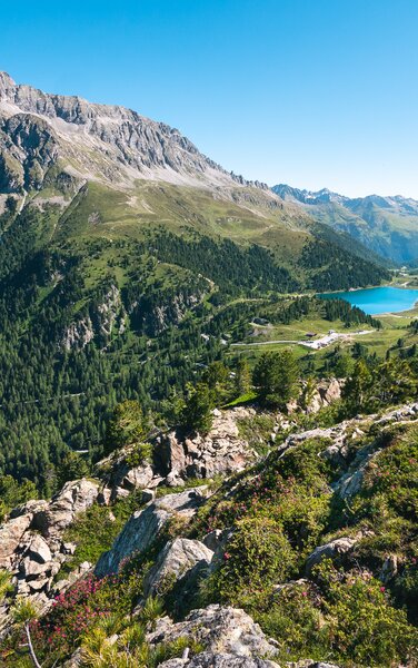 View at the lake, mountain landscape, meadows | © Roter Rucksack