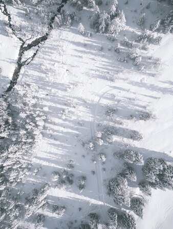 Landschaft, Schnee, Wald, Vogelperspektive | © Kottersteger Manuel