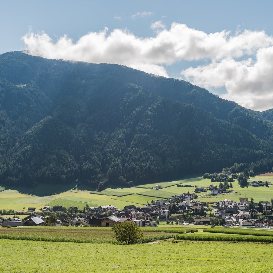 Dorf, Wald | © Wisthaler Harald