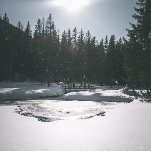Neve, bosco | © Kottersteger Manuel - TV Antholzertal