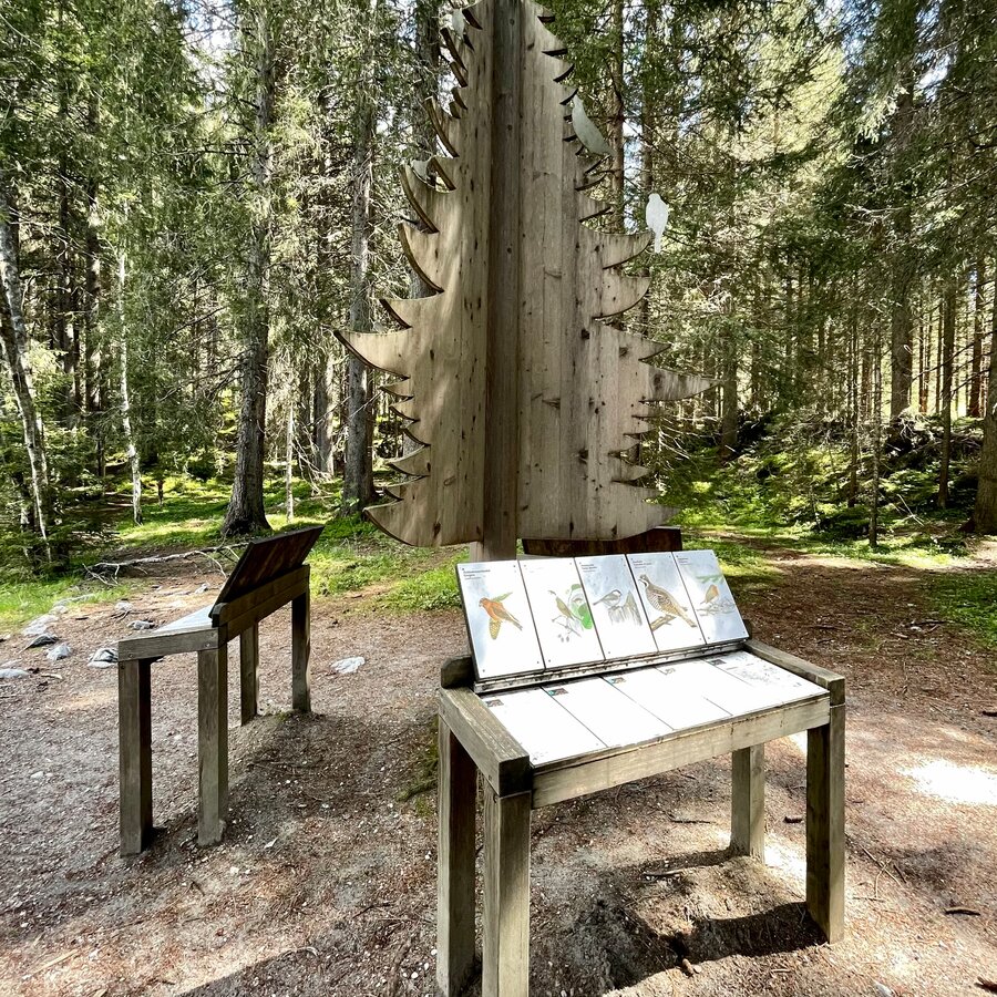 Nature trail around the lake | © Schuster Barbara