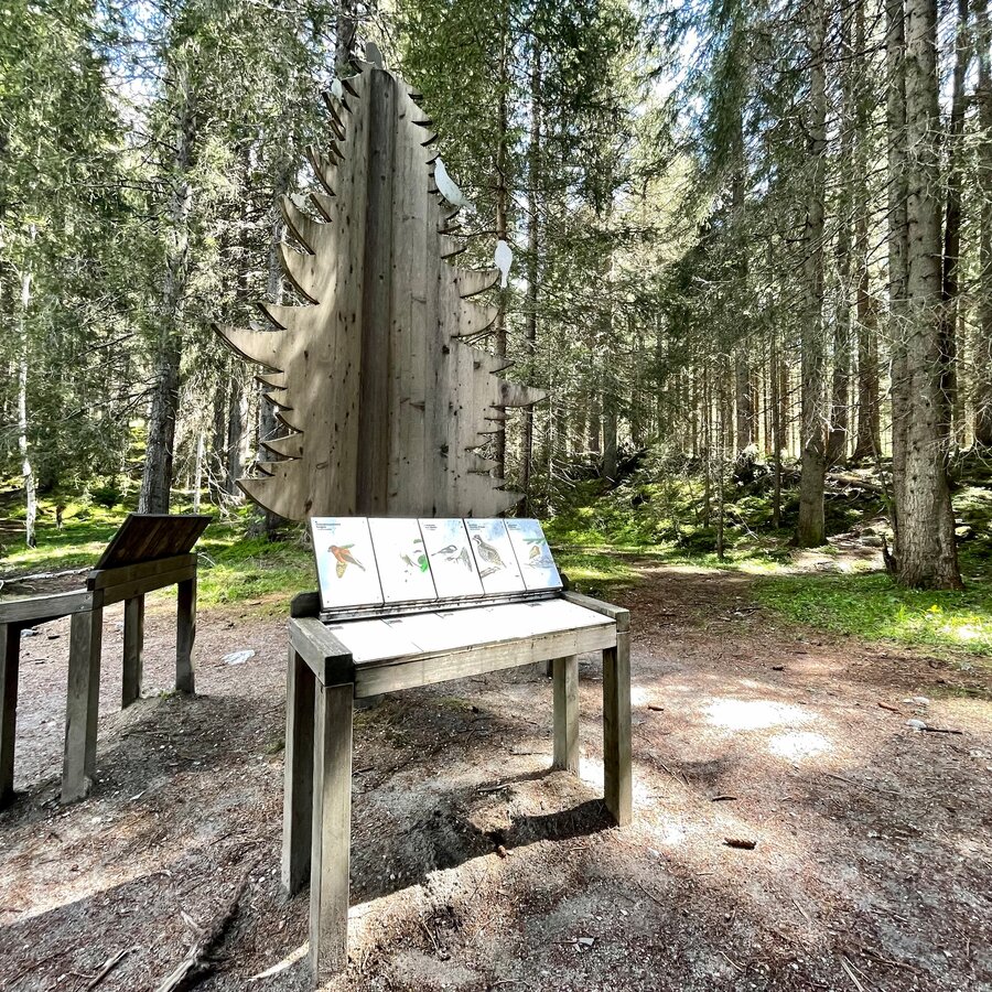 Nature trail around the lake | © Schuster Barbara