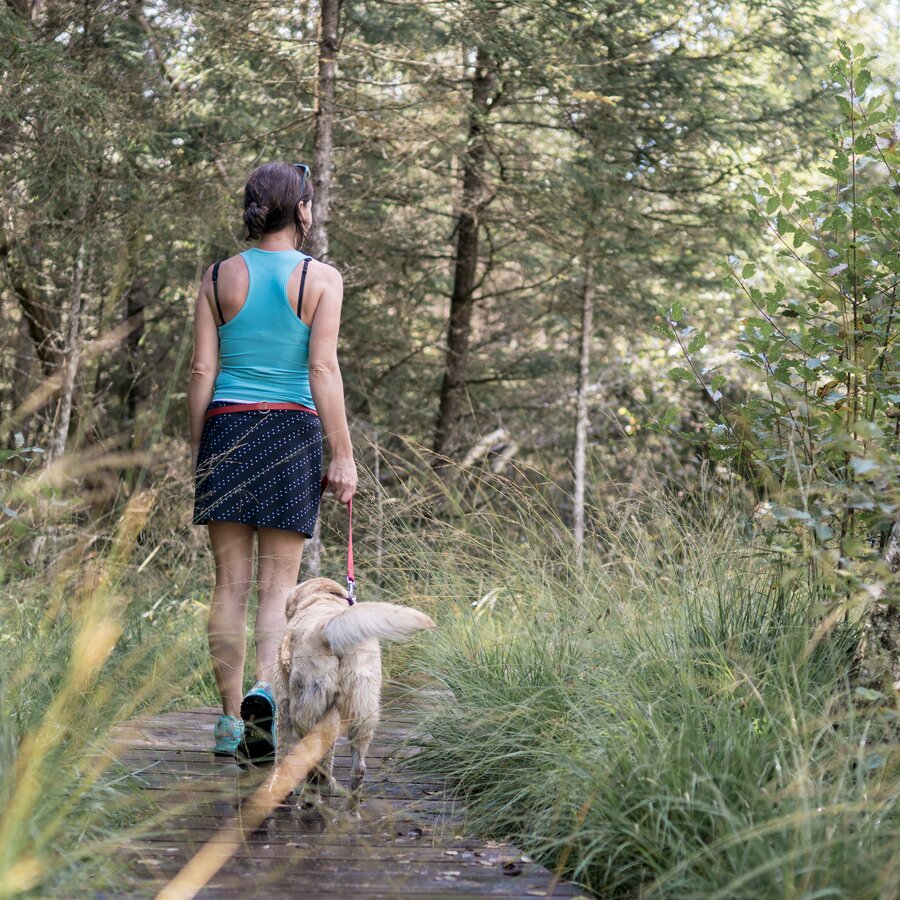 Biotop, Spaziergang mit Hund | © Notdurfter Anna