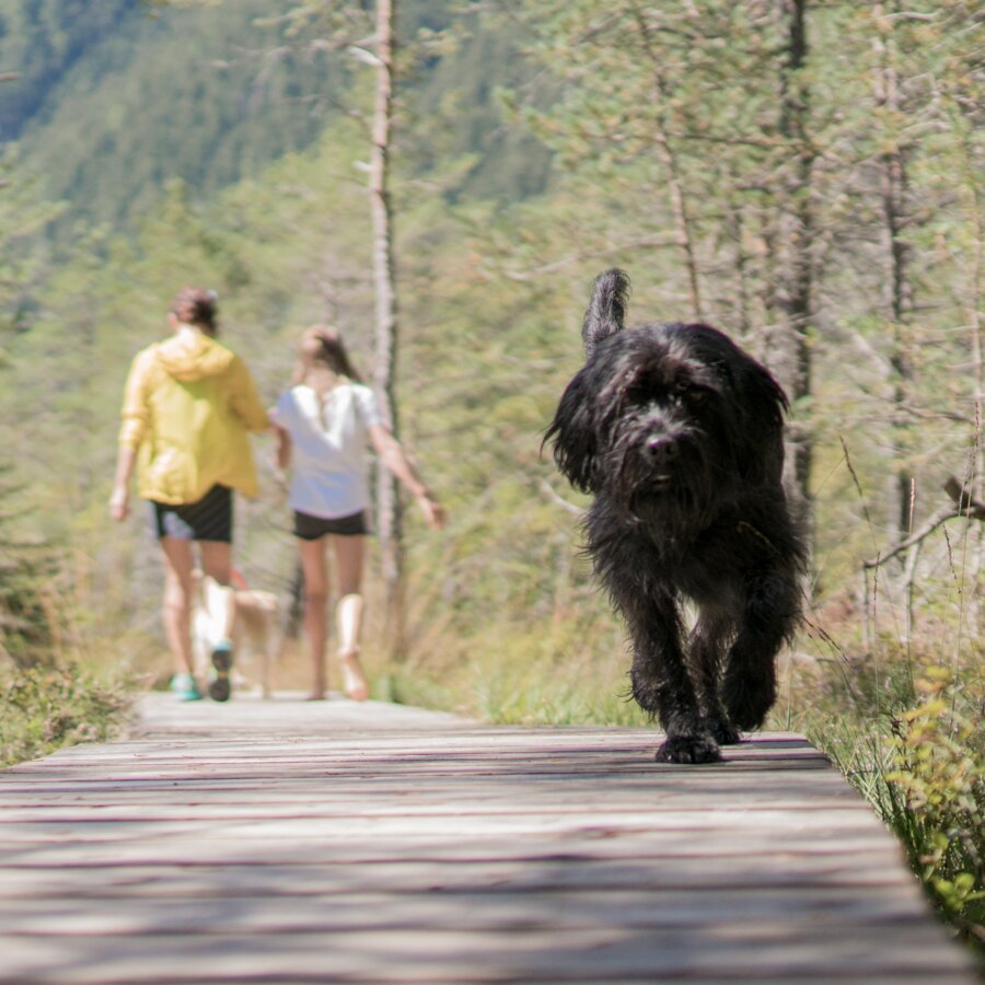 Biotopo, famiglia, cane | © Notdurfter Anna