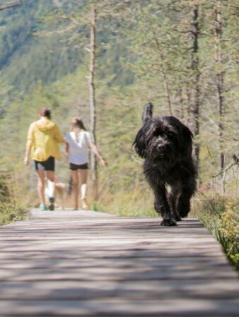 Biotopo, famiglia, cane | © Notdurfter Anna