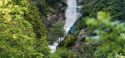 Wasserfall, Wald | © Notdurfter Anna - TV Antholzertal