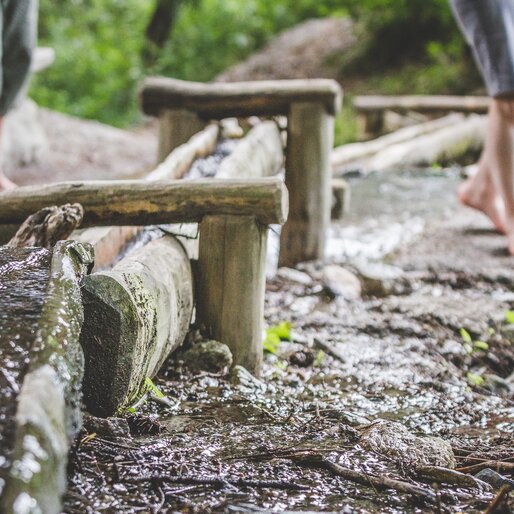 Terapia Kneipp, Bosco con giochi d'acqua | © Notdurfter Anna - TV Antholzertal