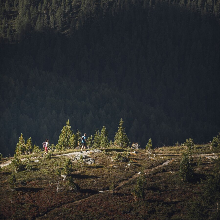 Escursione sul Passo Stalle | © Kottersteger Manuel - TV Antholzertal