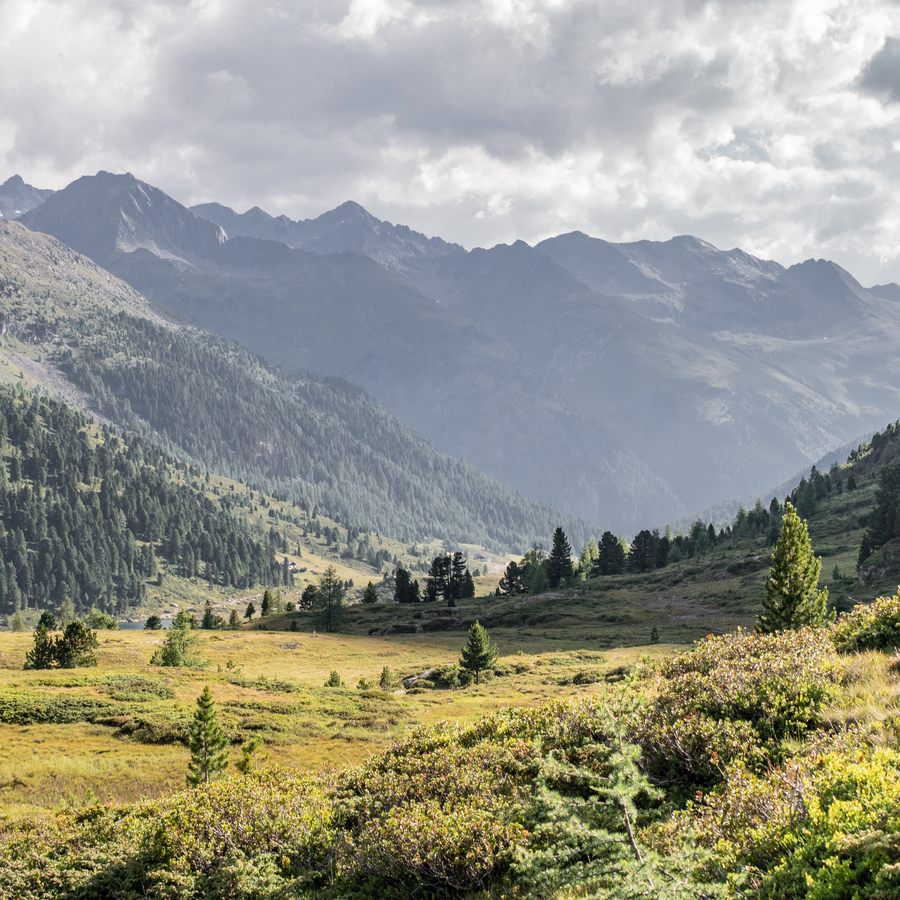 Monte Hinterbergkofel | © Notdurfter Anna - TV Antholzertal